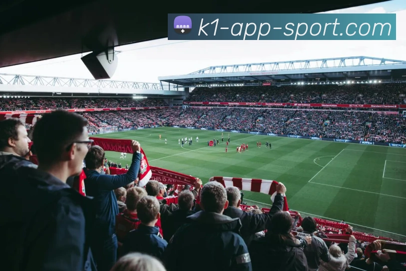 App Interface Preview