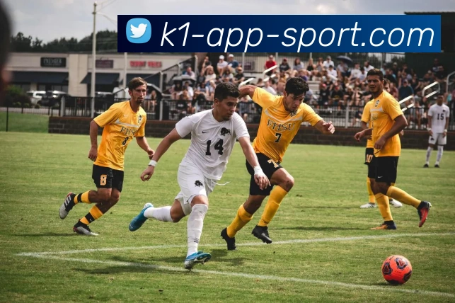 k1体育APP 封面图